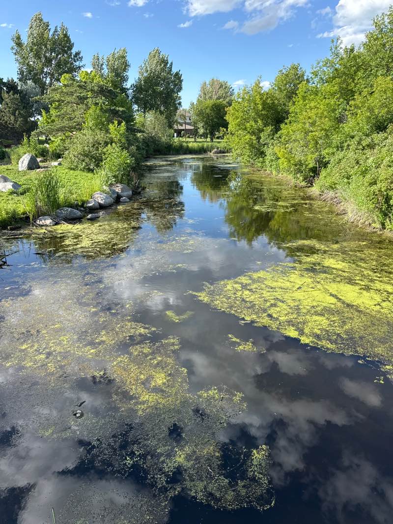 walking near me in Sertoma Park in summer