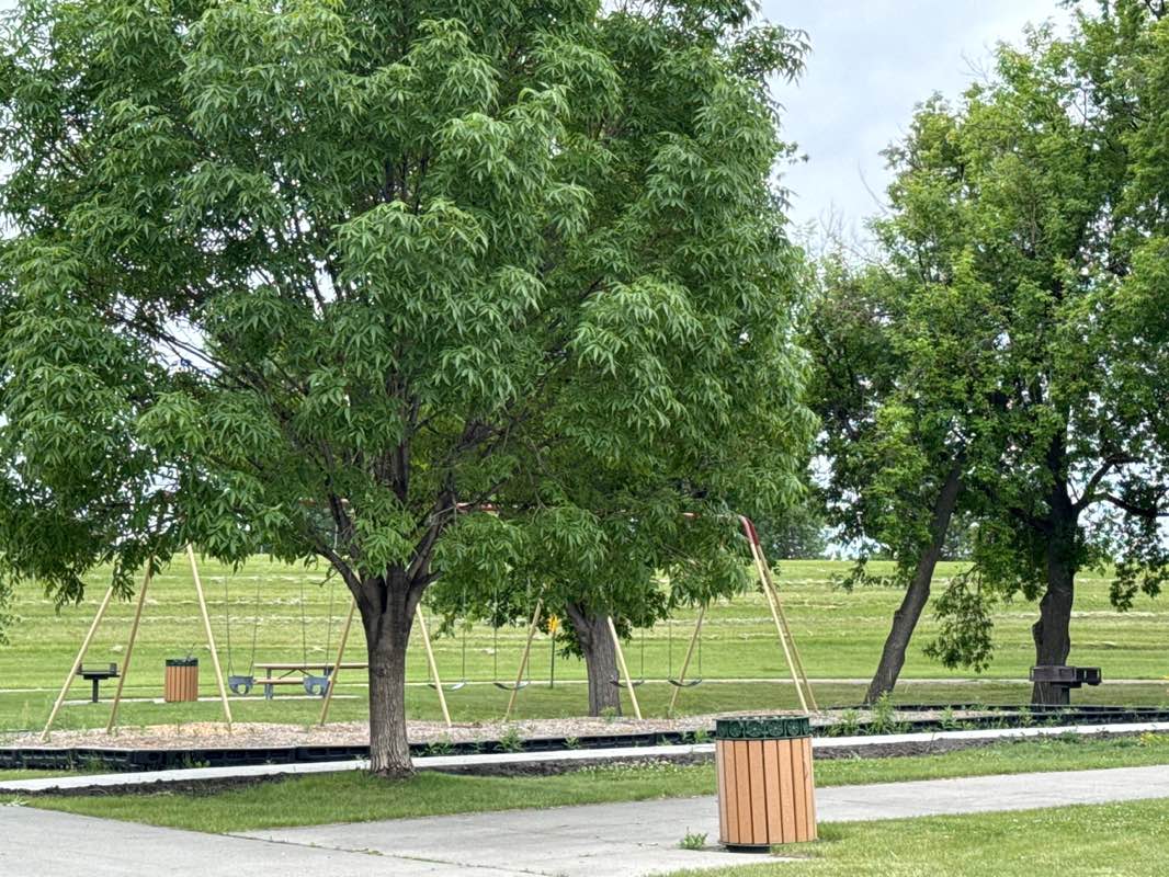 walking near me in Hill Street park in summer