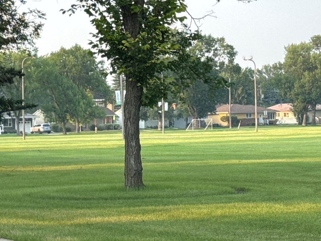 walking near me in Cox Park in autumn