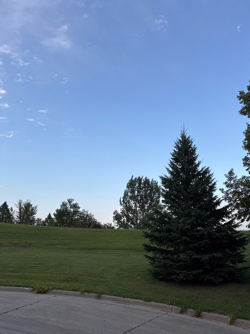 walking near me in Folsom Park in autumn