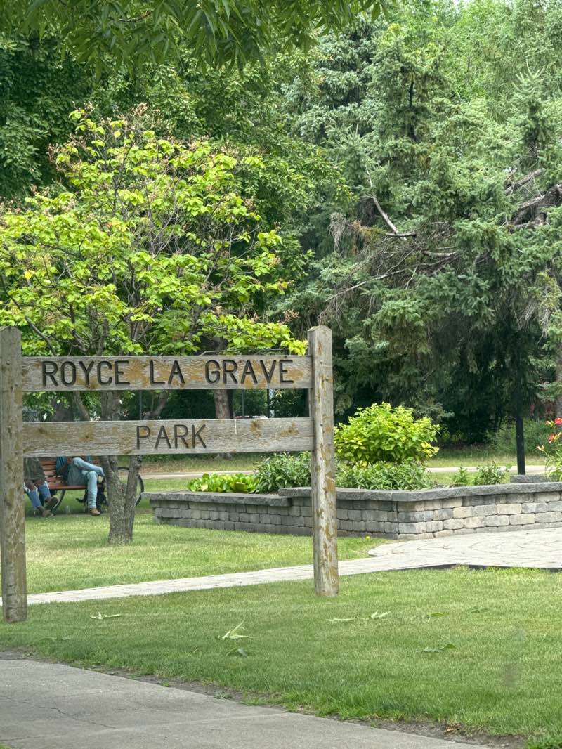 walking near me in Mystic Swiss Triangle Park in summer