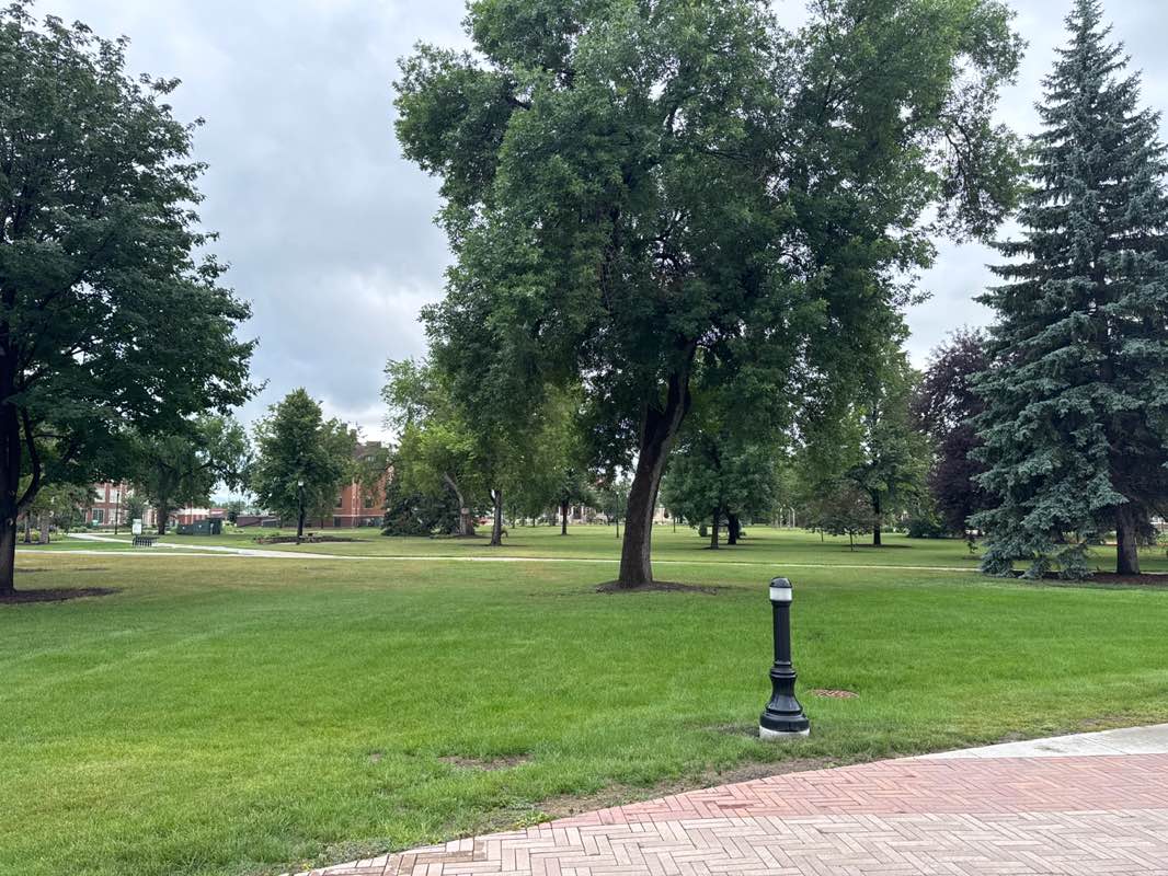 walking near me in Main Quad in autumn