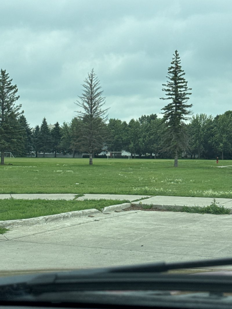 walking near me in Lions Park in summer