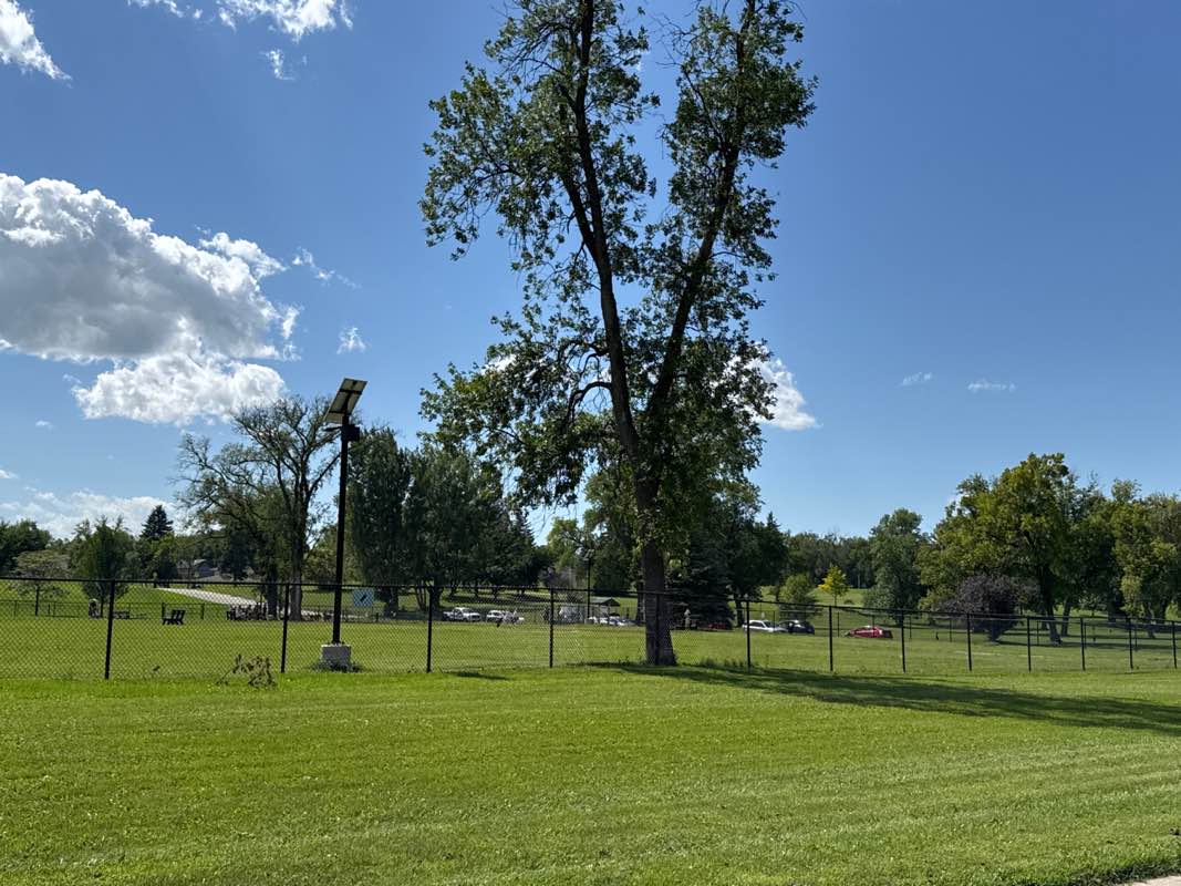 walking near me in Lincoln Drive Dog Park in autumn