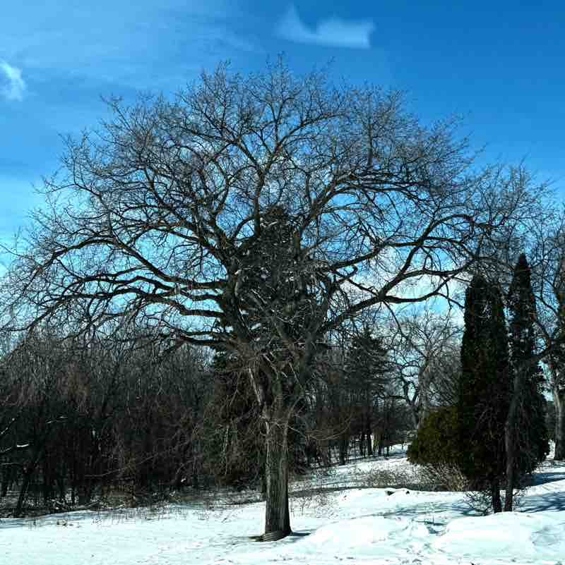 RicardoEduardo post 1