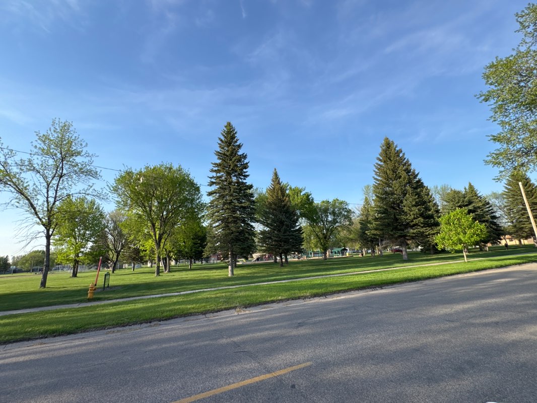 walking near me in Cox Park in summer