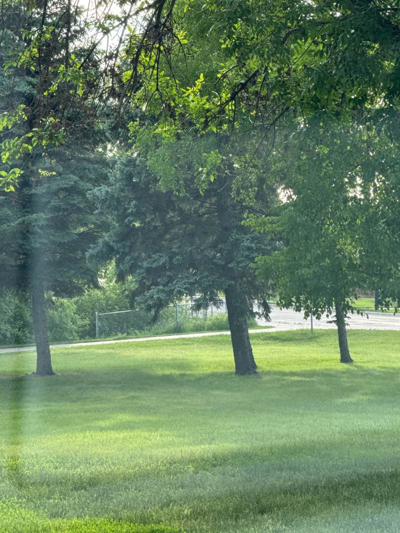 walking near me in Sertoma Peninsula in summer