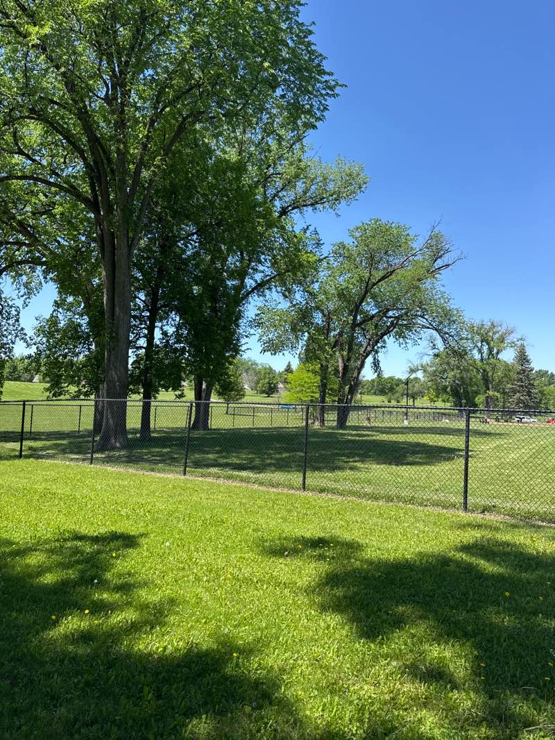 walking near me in Lincoln Drive Dog Park in summer