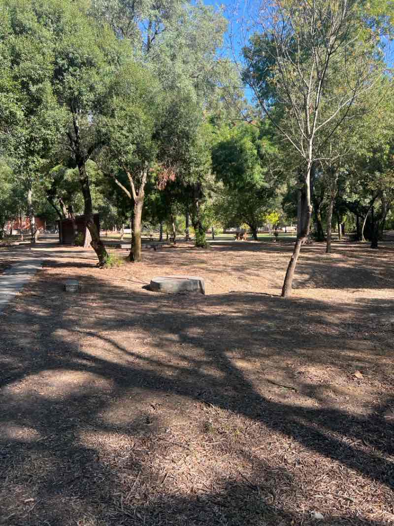 walking near me in Parque da Quinta das Conchas e dos Lilases in autumn