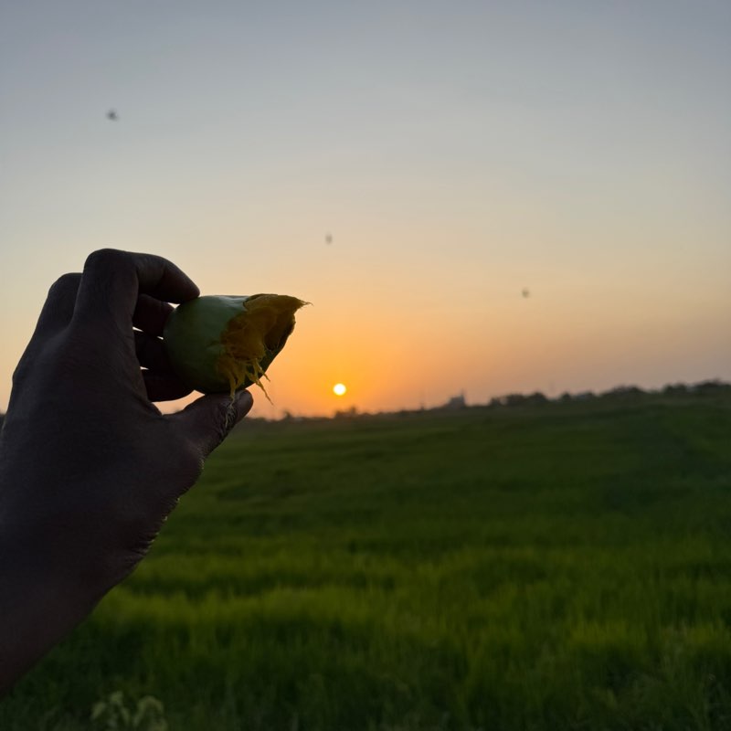 ila tartan Abdirahman Ahmed post image