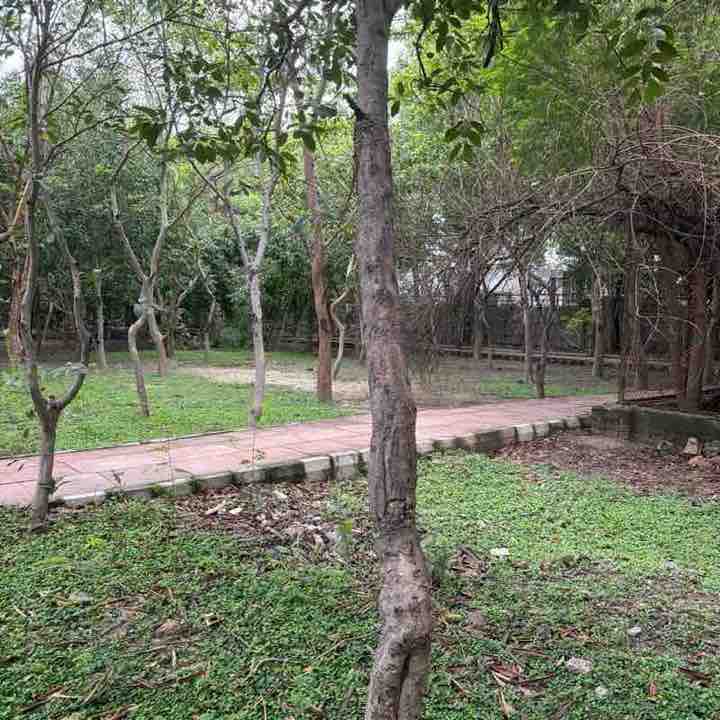 S N post 1