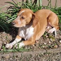 Fiona