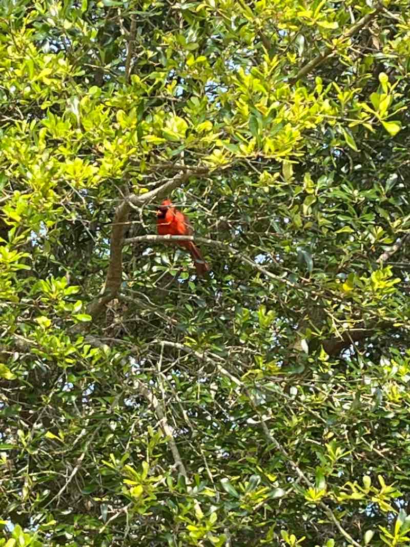 walking near me in George Washington Creef Memorial Park in winter