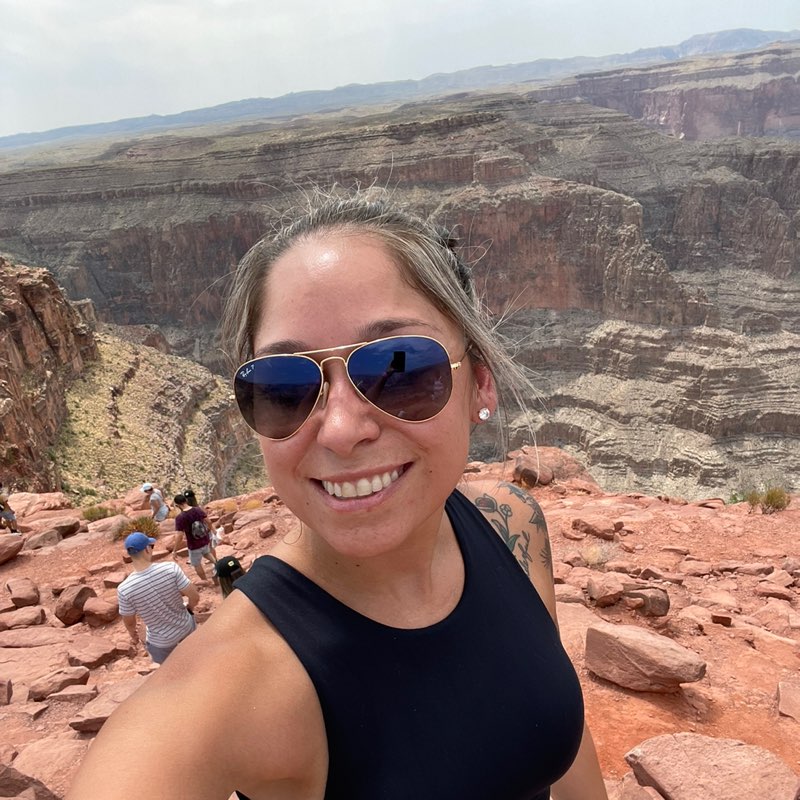 Dani