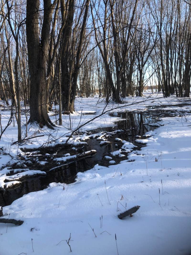 walking near me in Parc des Terrasses-du-Fleuve in winter