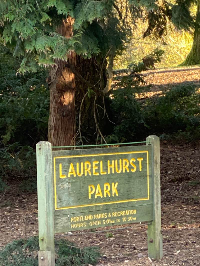 walking near me in Laurelhurst Park in winter
