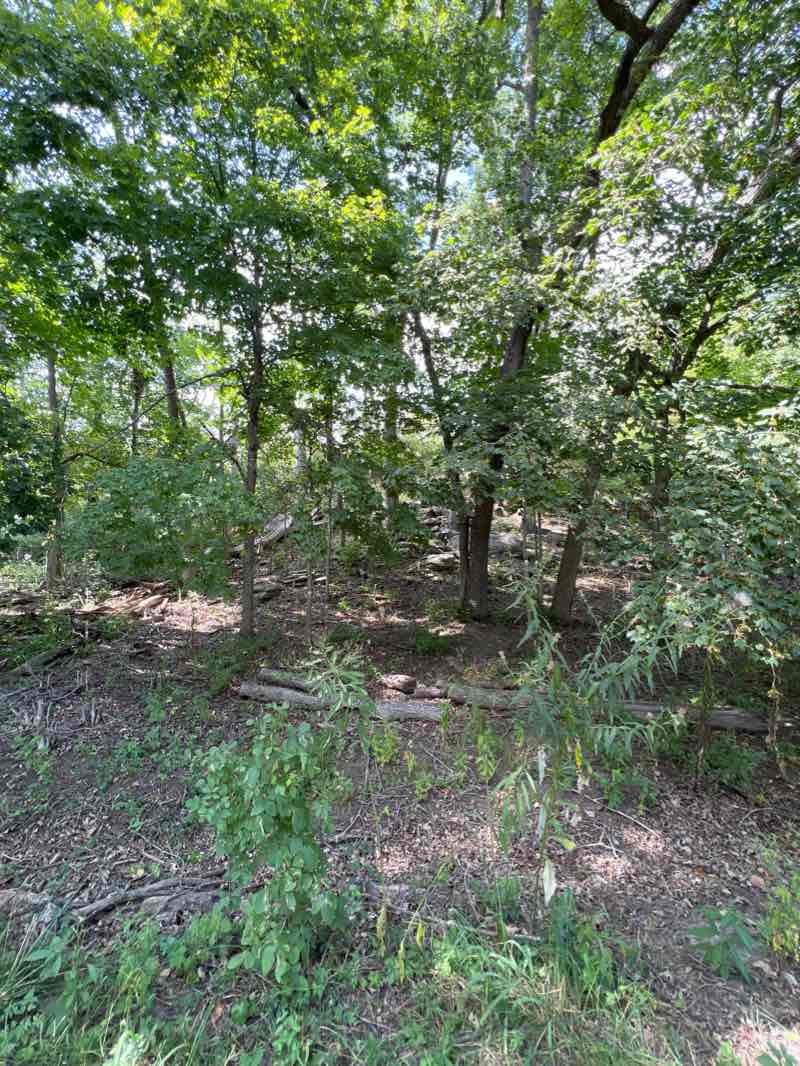 walking near me in 3M Wetlands in winter