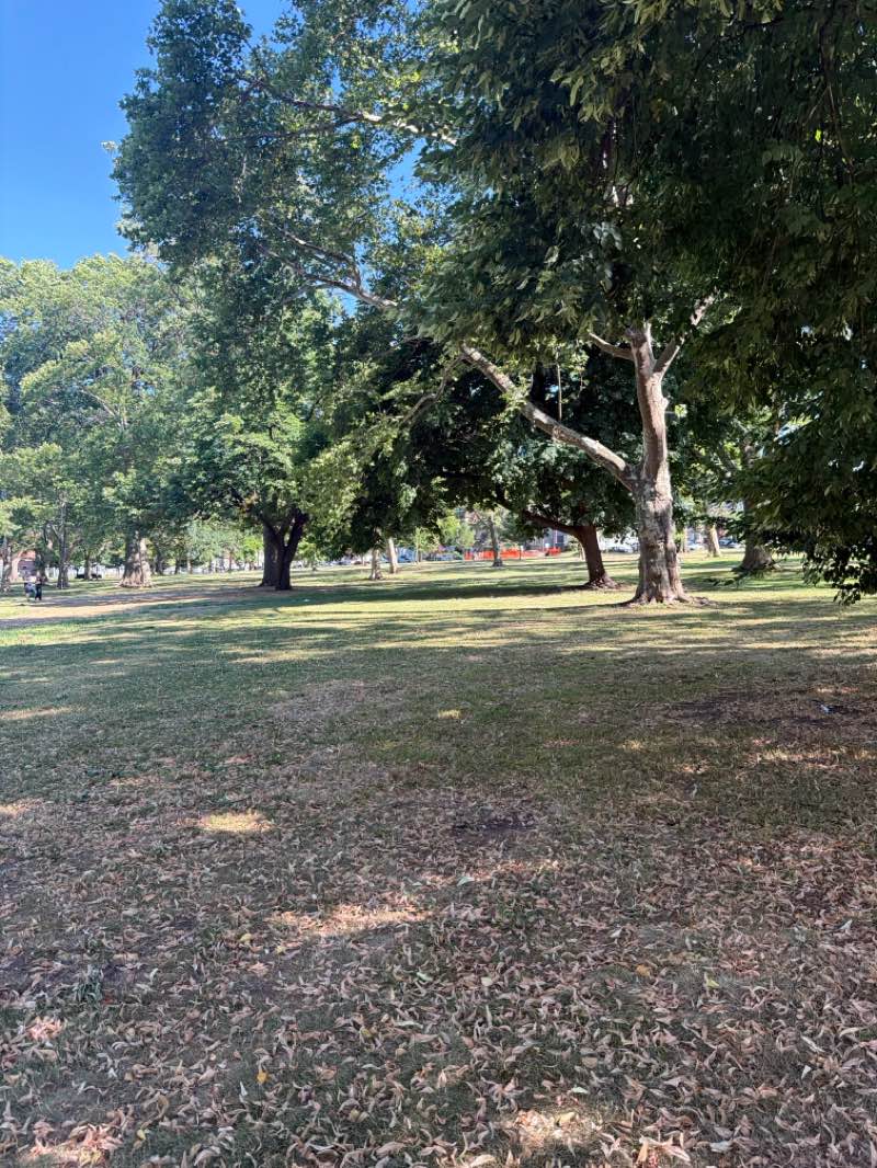 walking near me in Kellogg Park in summer