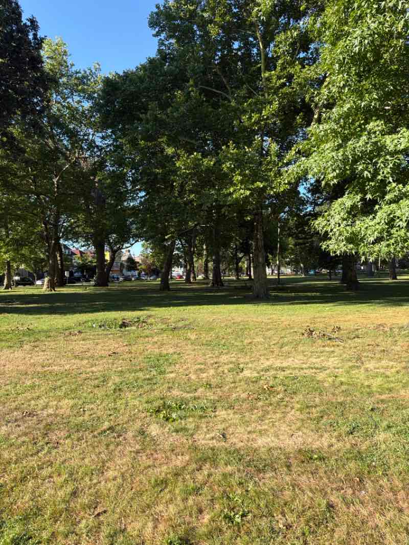 walking near me in Kellogg Park in summer