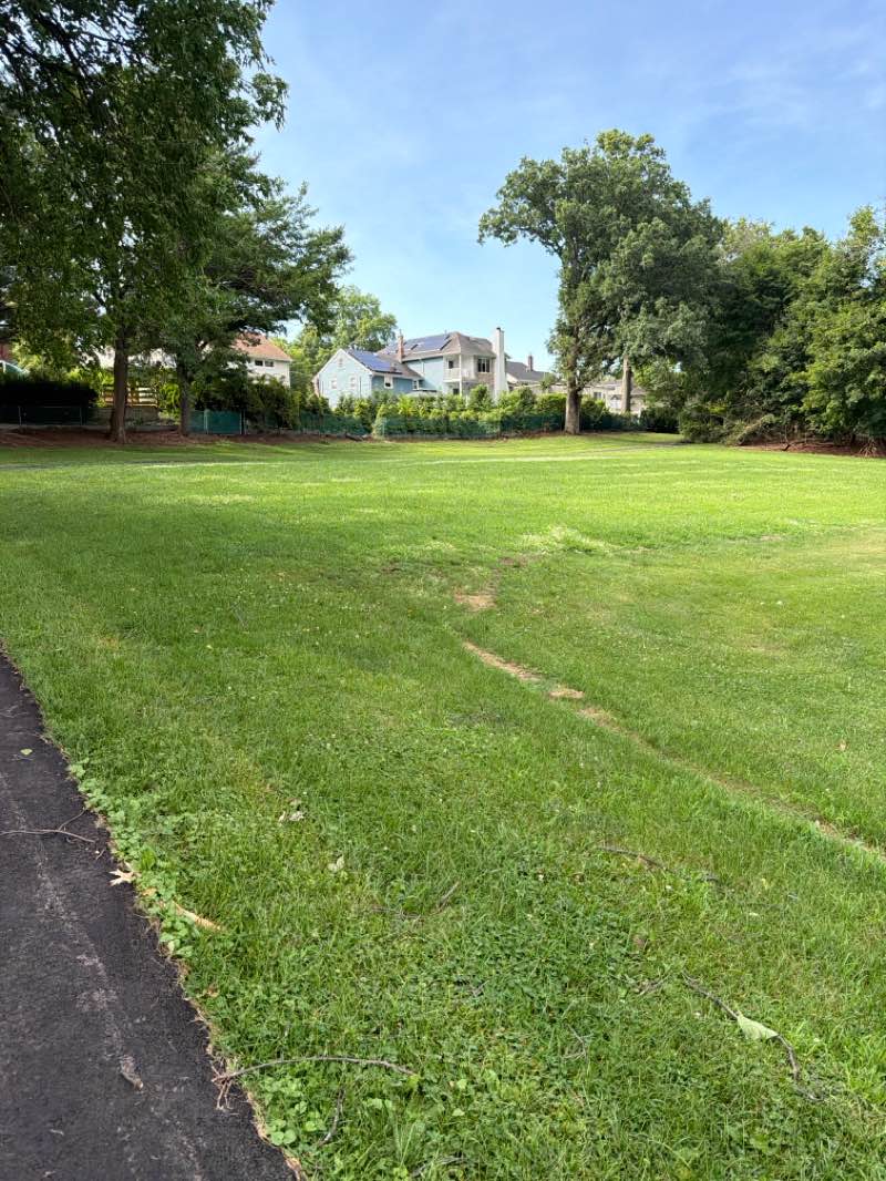 walking near me in Holster Park in summer