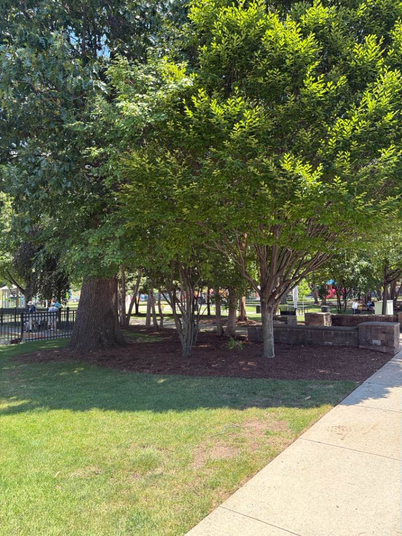 walking near me in Lyndhurst Municipal Park in summer