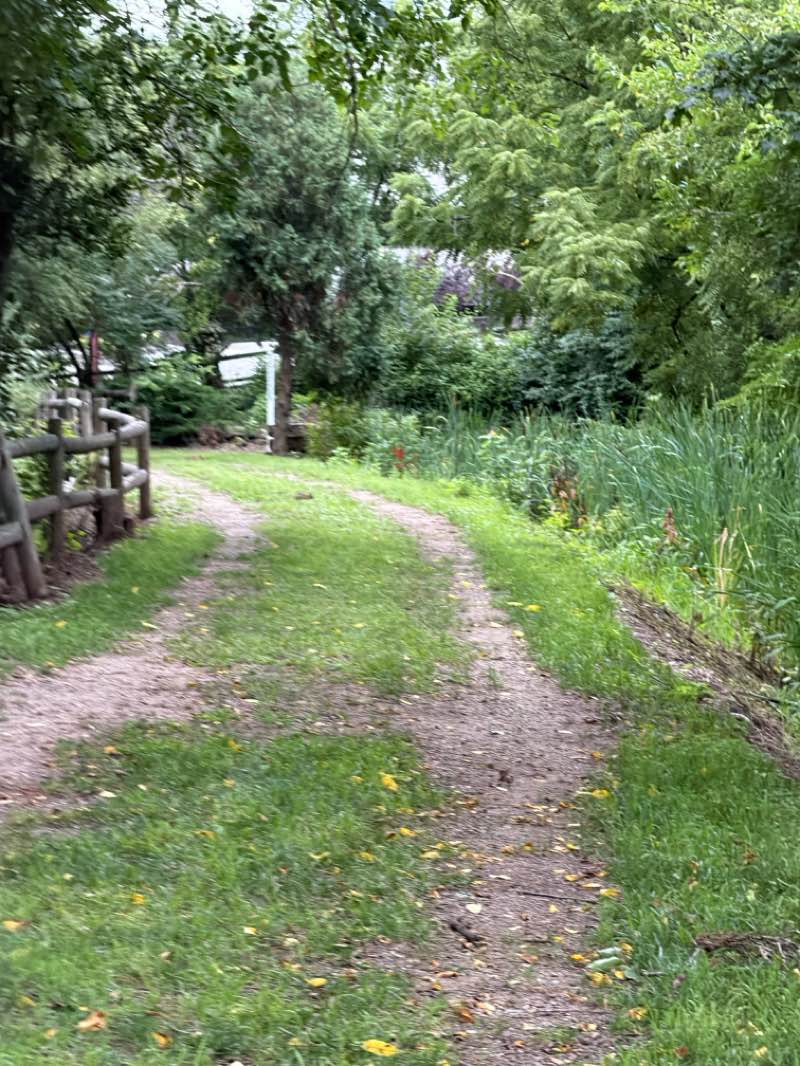 walking near me in Morris Canal Park & Jack W. Kuepfer, Sr. Nature Preserve in summer