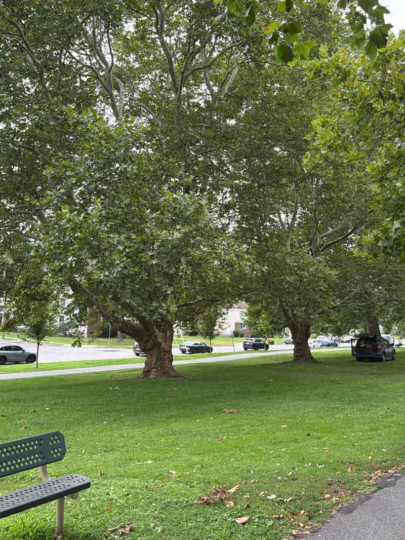 walking near me in Jubilee Park in summer