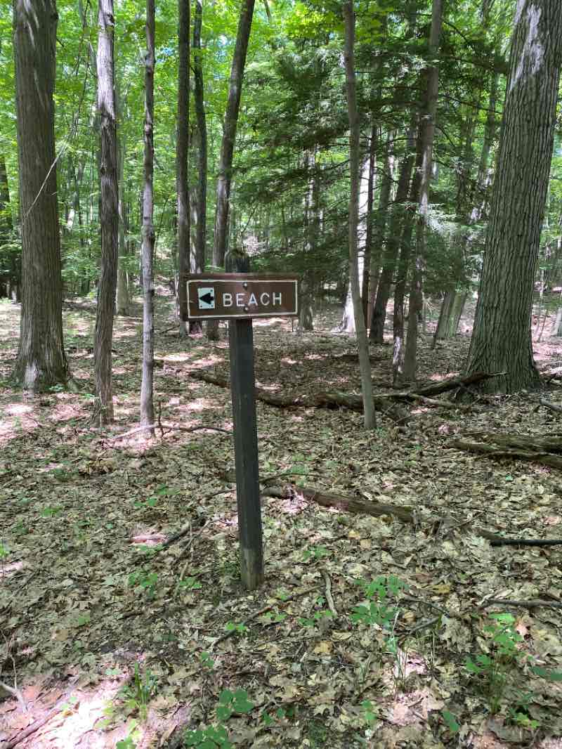 walking near me in Saugatuck Dunes State Park in winter
