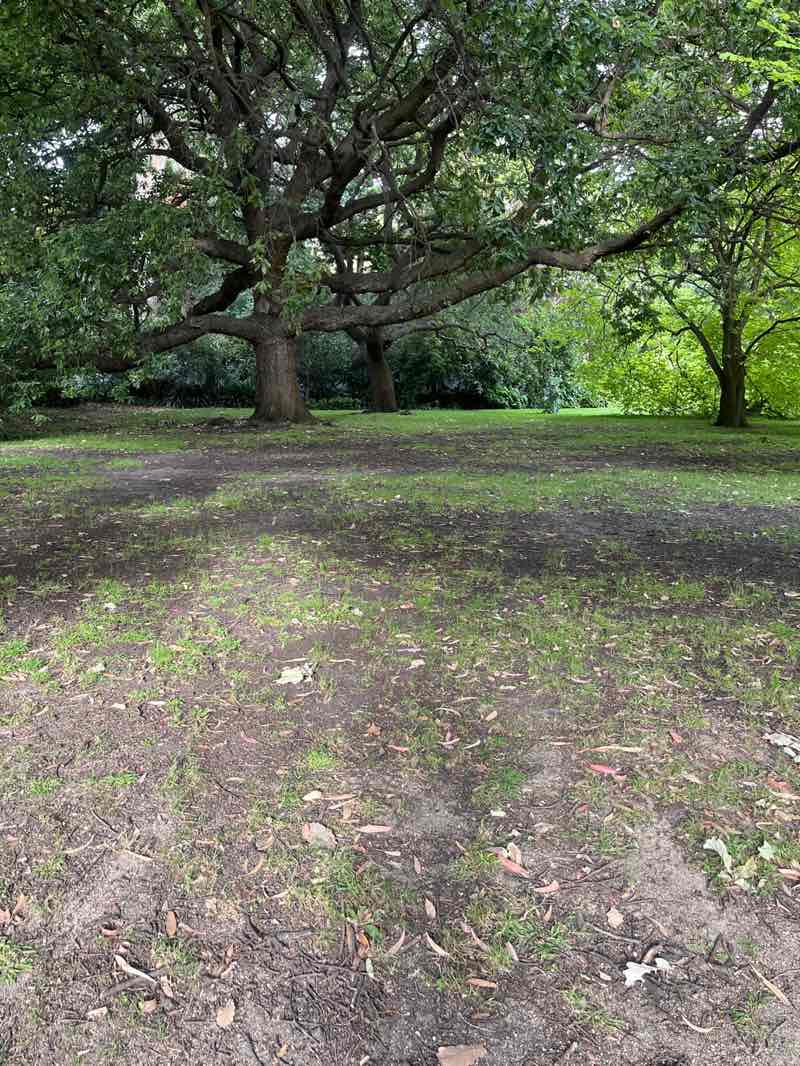 walking near me in Kings Domain in summer