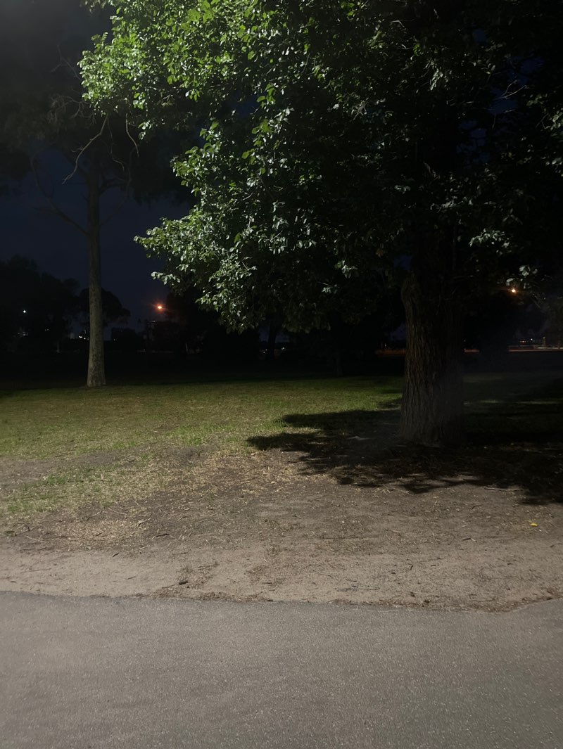 walking near me in Albert Park in autumn