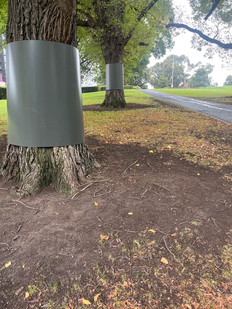 walking near me in Flagstaff Gardens in autumn