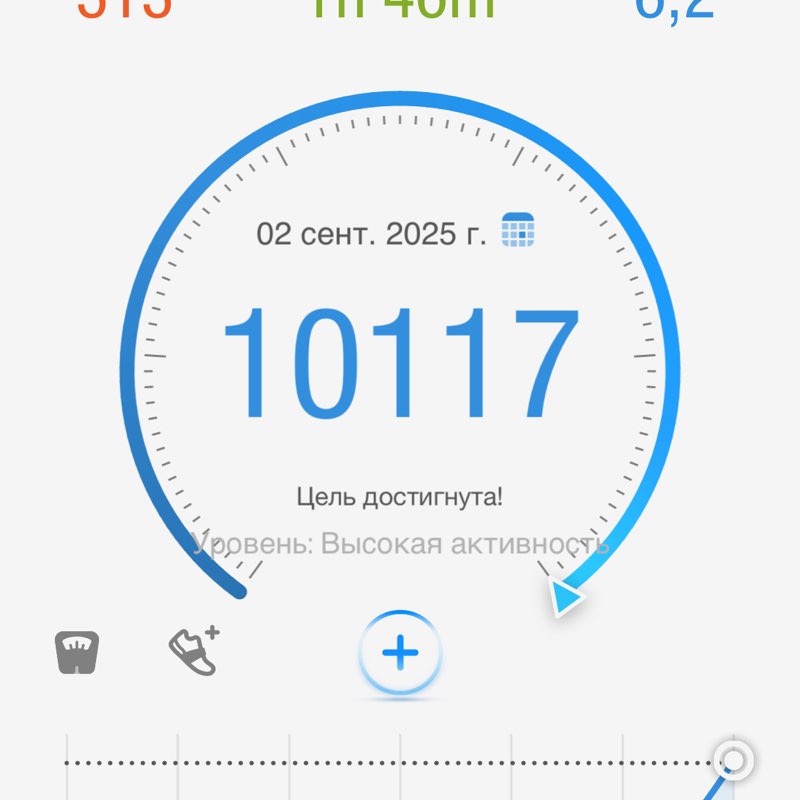 Томичи 🌲 Светлана post image