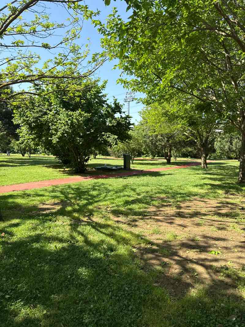 walking near me in Dormitory Park in spring