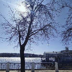 Анна Савельева Кострома icon