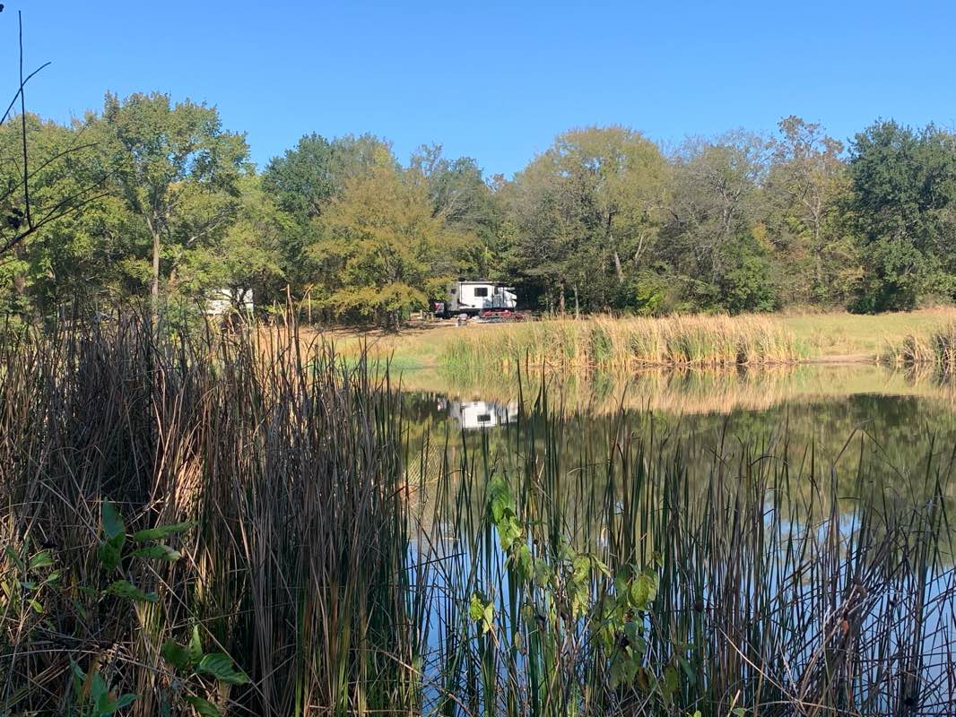 walking near me in Purtis Creek State Park in autumn