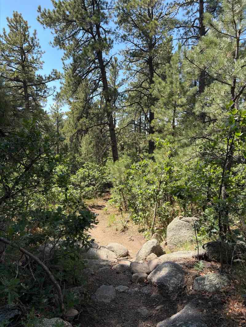walking near me in Cheyenne Mountain State Park in summer