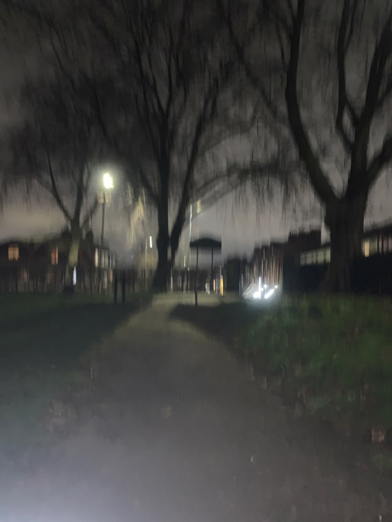 walking near me in Ladybarn Park in winter