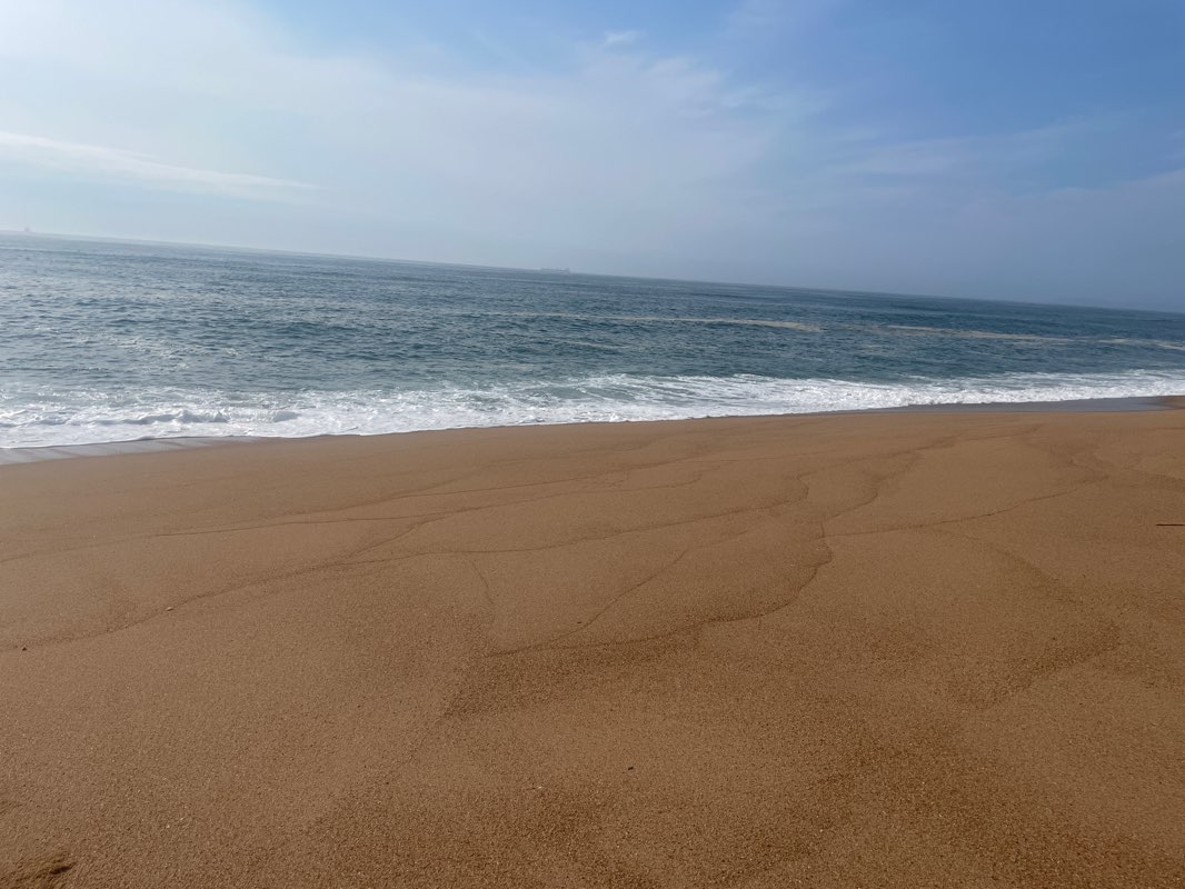 walking near me in Durban View Park in summer