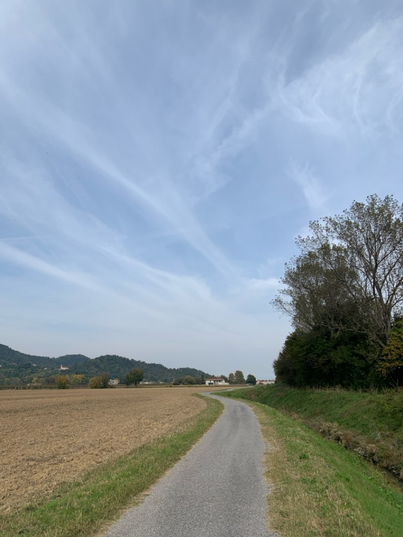 walking near me in Parco Villa Bassi in autumn