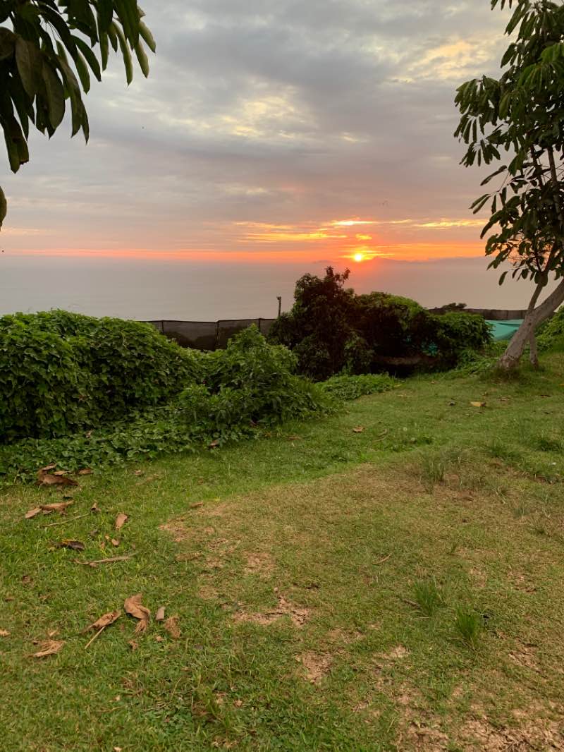 walking near me in Parque de la Benemérita Guardia Civil in summer