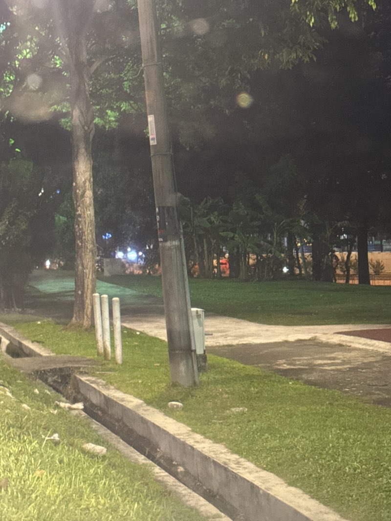 walking near me in Section 57 Park in spring