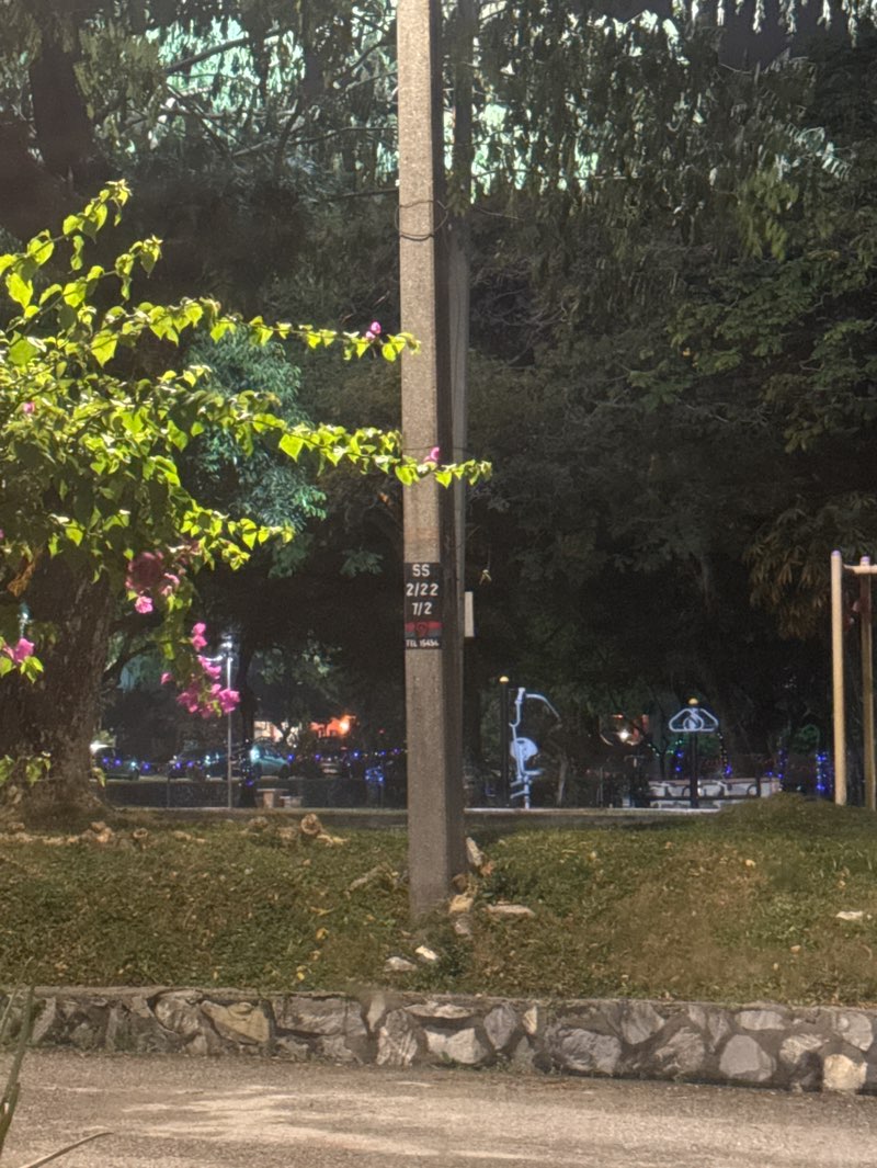 walking near me in Sahara Park in spring