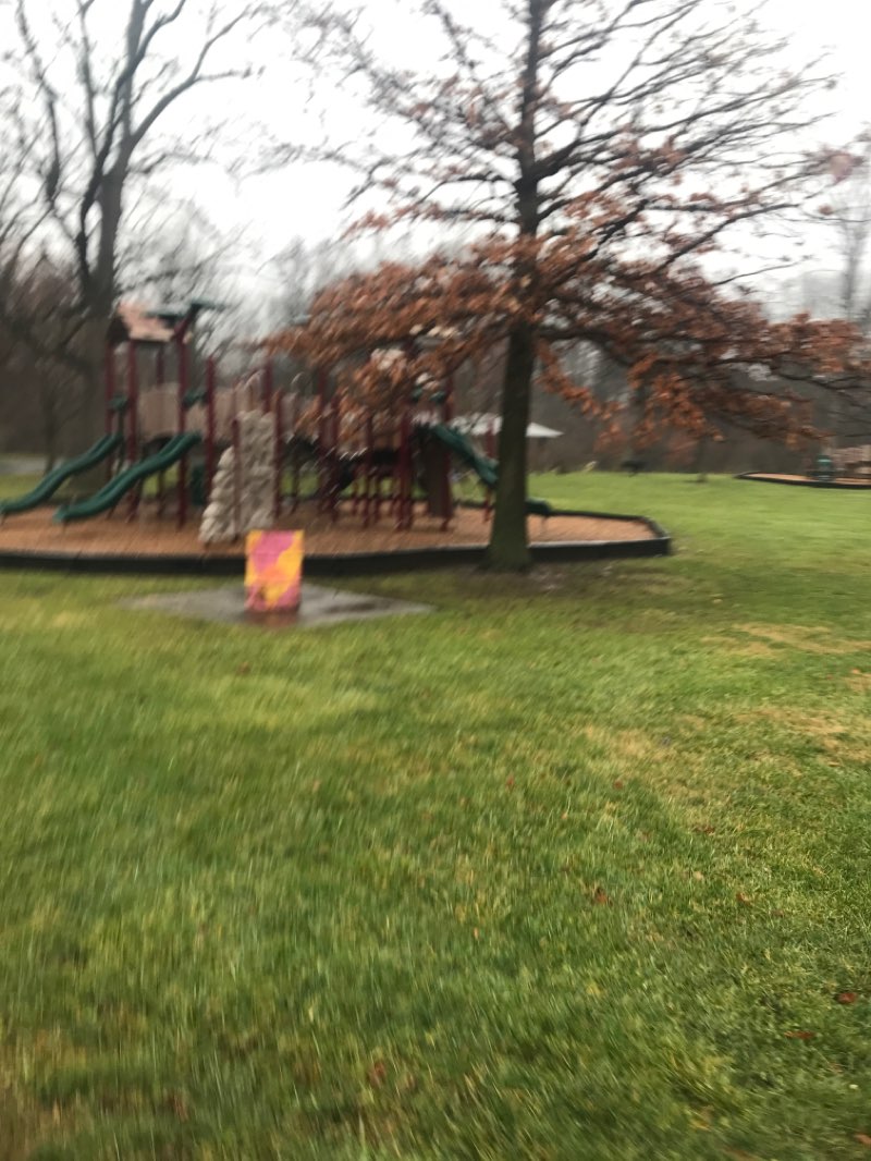 walking near me in Blue Limestone Park in winter