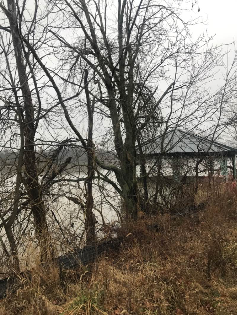 walking near me in Concord Township Park in winter