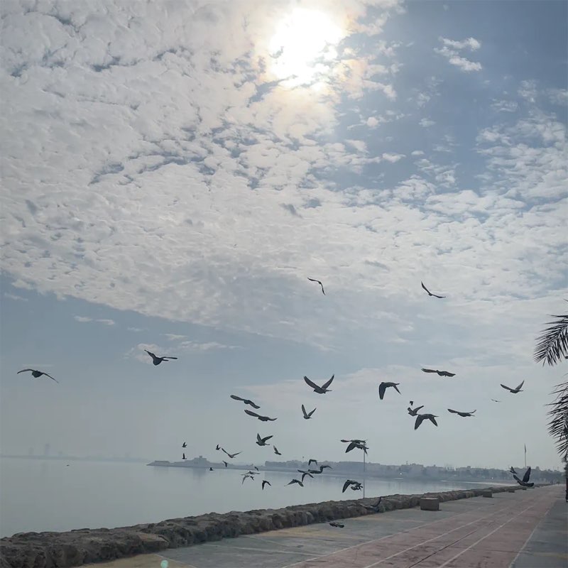 Eman alkhalifah profile