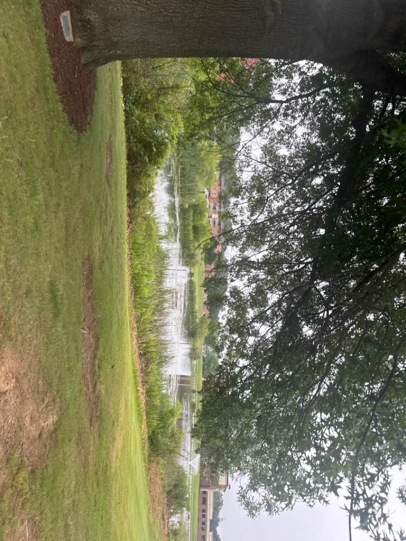 walking near me in Bohrer Park in summer
