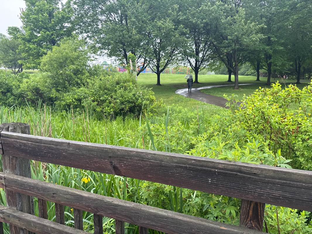 walking near me in Bohrer Park in summer