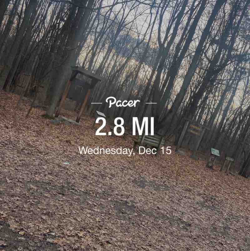 Chocolate Bri post 1