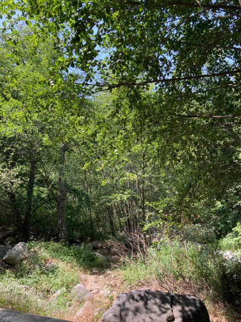 walking near me in Hahamonga Watershed Natural Park in winter