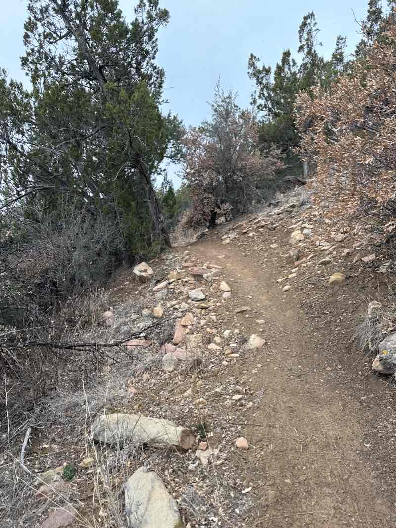 walking near me in Gutierrez Canyon-Milne Open Space in winter